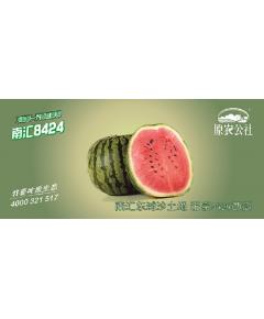 南汇8424西瓜提货券（特4）