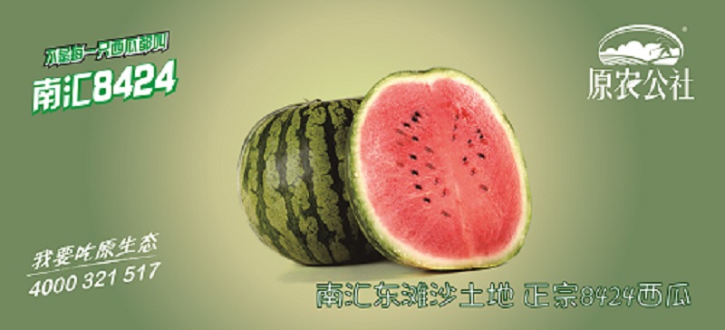 南汇8424西瓜提货券（特4）