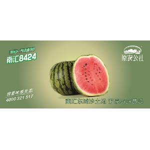 南汇8424西瓜提货券（2只）